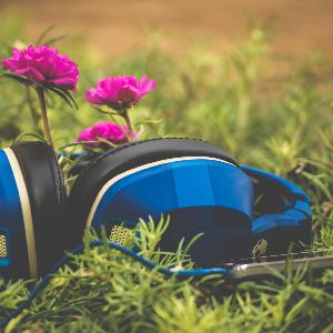 2020 Top Skills Podcast Playlist