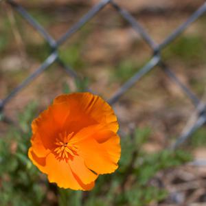 A little dose of hope