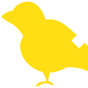 American Canary