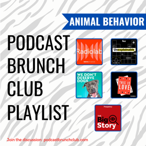 ANIMAL BEHAVIOR: Podcast Brunch Club (July 2023)