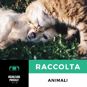 Animali