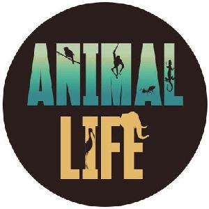 Animal Life: Secrets of the Animal World