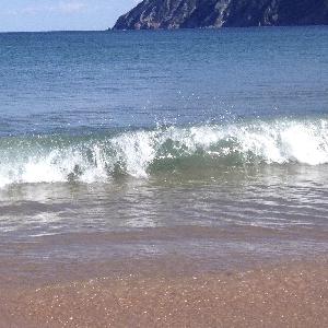 Beach listens