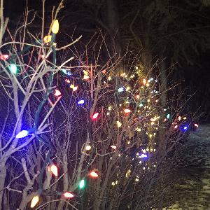 Hygge listens