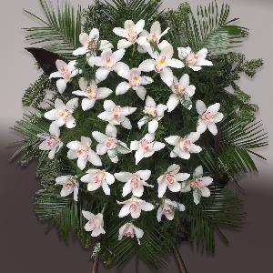 kamimarta542 's podcast playlist