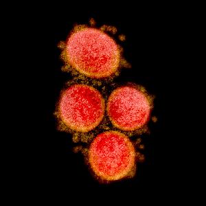 Pandemic podcasts