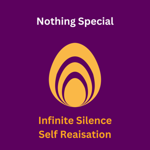 Self Realisation (Non Duality) Interviews Playlist