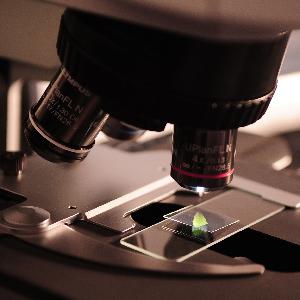 Scienza, innovazione e sostenibilità