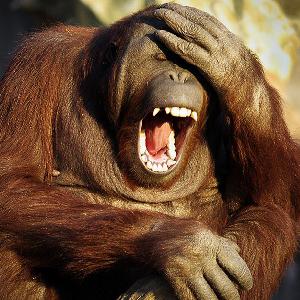 Top Comedy Podcasts to LOL the loudest