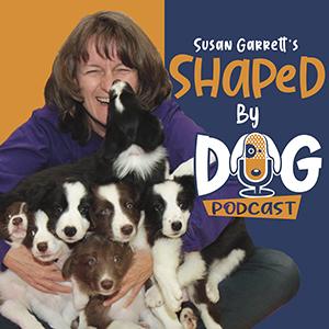 @shapedbydog