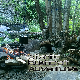 @AtlanticBushcraftAdventures