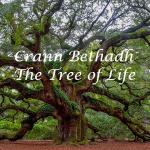 @Crann_Bethadh