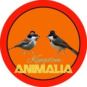 @KingdomAnimaliaPodcasts