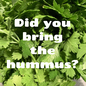 @didyoubringthehummus