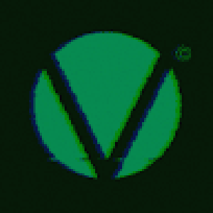 @valdivians