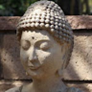 @narayana_ayurveda